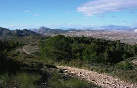 sendero