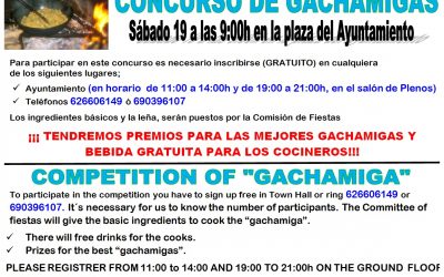 CONCURSO DE GACHAMIGAS 2017