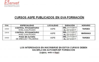 CURSOS FORMACIÓN SERVEF EN ASPE