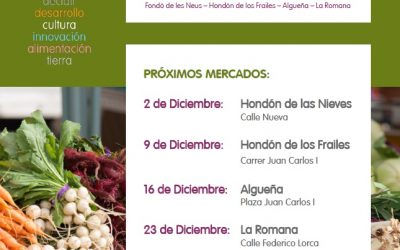 MERCAT ECO-DISTRIT 9 DE DICIEMBRE
