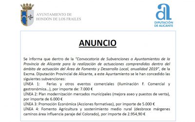 Subvención Para la Realización de Actuaciones Comprendidas Dentro del Ámbito de Actuación del Área de Fomento y Desarrollo Local