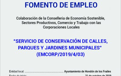PROGRAMA DE FOMENTO DE EMPLEO