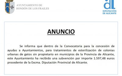 Subvención Esterilización Colonias Urbanas de Gatos