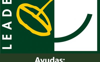 LEADER AYUDAS Creación y mejora de empresas no agrícolas/Empresas agroalimentarias/Asociaciones