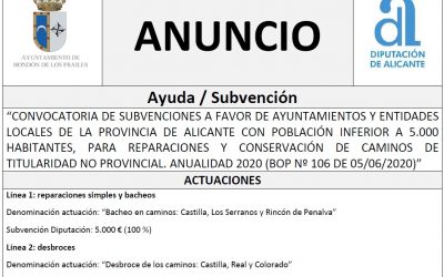 CONVOCATORIA DE SUBVENCIONES A FAVOR DE AYUNTAMIENTOS Y ENTIDADES LOCALES DE LA PROVINCIA DE ALICANTE CON POBLACIÓN INFERIOR A 5.000 HABITANTES, PARA REPARACIONES Y CONSERVACIÓN DE CAMINOS DE TITULARIDAD NO PROVINCIAL. ANUALIDAD 2020 (BOP Nº 106 DE 05/06/2020)