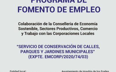 PROGRAMA DE FOMENTO DE EMPLEO