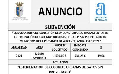 “CONVOCATORIA DE CONCESIÓN DE AYUDAS PARA LOS TRATAMIENTOS DE ESTERILIZACIÓN DE COLONIAS URBANAS DE GATOS SIN PROPIETARIO EN MUNICIPIOS DE LA PROVINCIA DE ALICANTE, ANUALIDAD 2021”