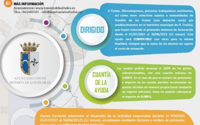 PLAN MUNICIPAL DE AYUDAS PARA MINIMIZAR EL IMPACTO ECONÓMICO QUE LA CRISIS ESTÁ SUPONIENDO SOBRE LAS PYMES, MICROPYMES, Y PERSONAS TRABAJADORAS AUTONÓMICAS DE HONDÓN DE LOS FRAILES 2023